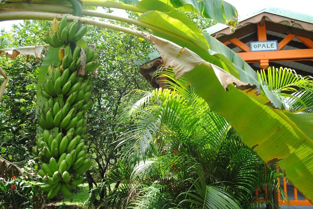 Casa vacanze Les Gites Latentouasie Capesterre-Belle-Eau