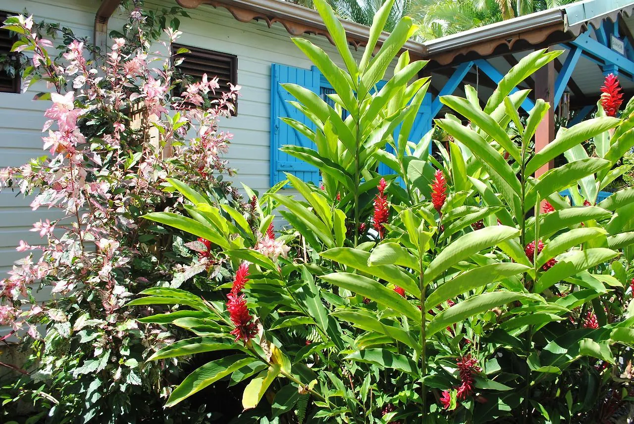 Les Gites Latentouasie Capesterre-Belle-Eau Holiday home