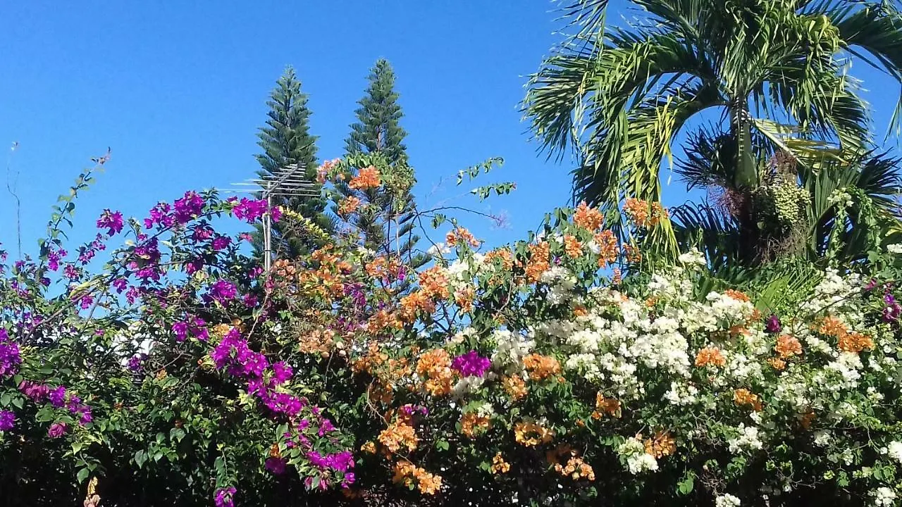 Les Gites Latentouasie Capesterre-Belle-Eau 0*,  Guadeloupe
